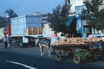 egypt-cairo-bread-cart-03
