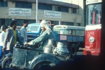 egypt-cairo-milk-delivery