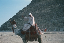 egypt-giza-05-camel