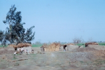 egypt-memphis-02
