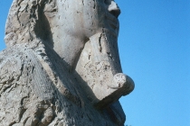 egypt-memphis-12-sphinx