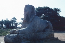 egypt-memphis-13-sphinx