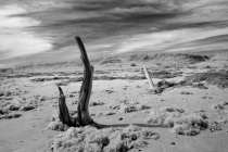 ir-beach-desert