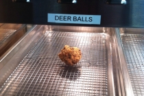 merica deer balls lafayette, La