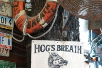 merica hogs breath key west fl