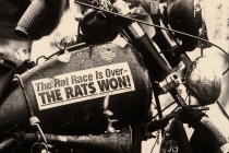 signs rat race